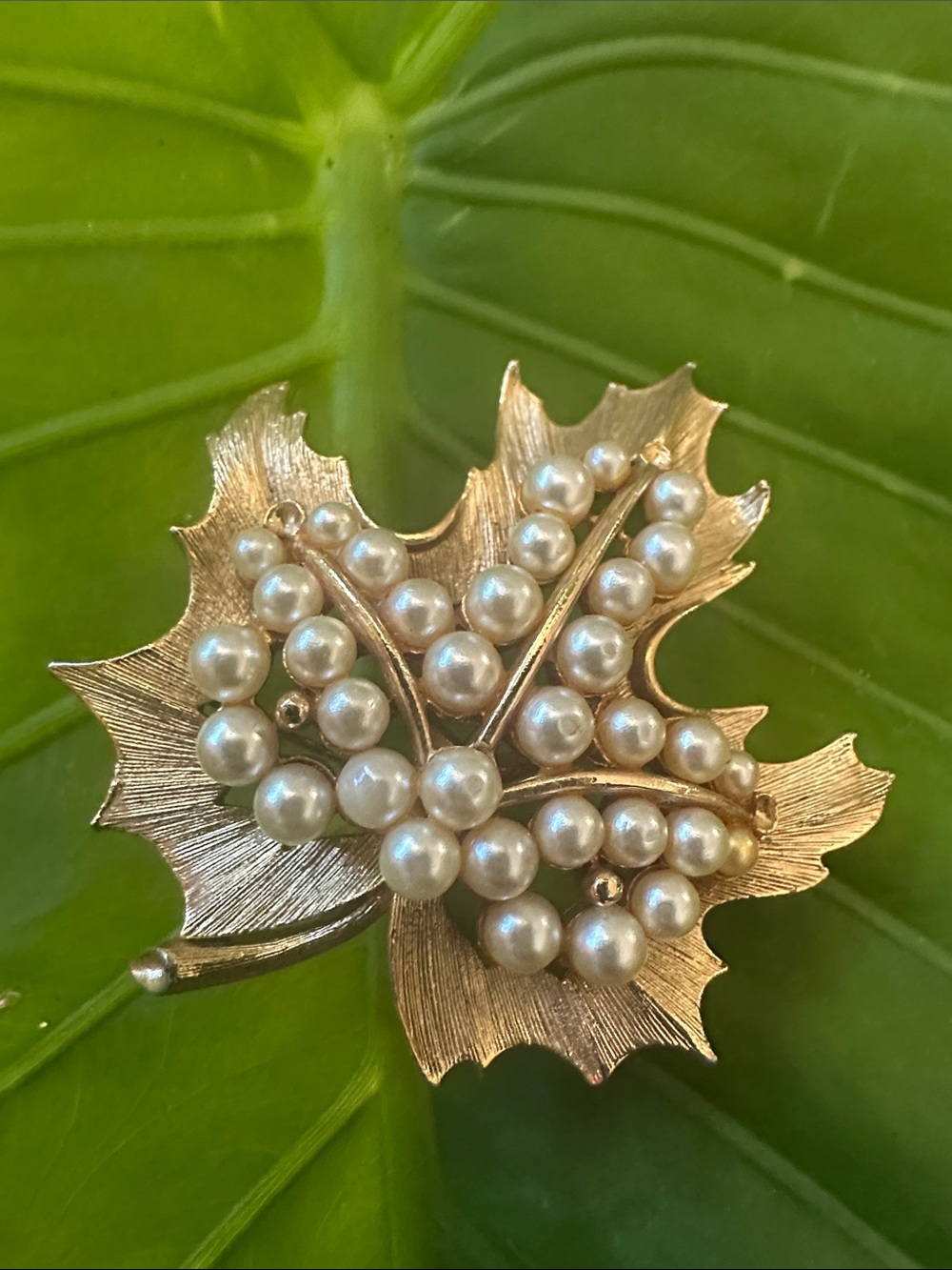 Gold Leaf Lisner Brooch with Pearl Clusters